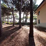 דירה In 43496