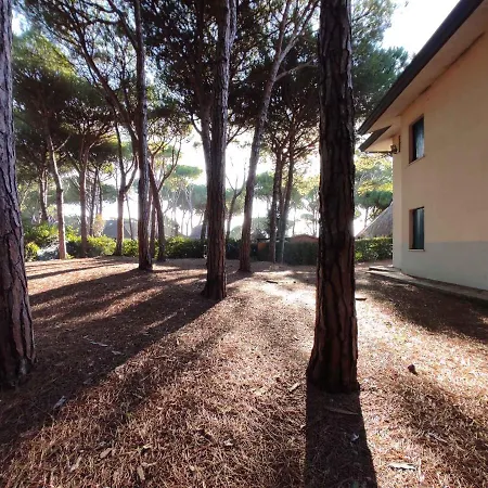 Apartmán In 43496