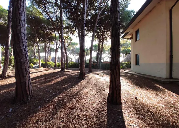 Appartement In 43496